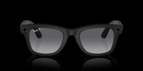 RAY-BAN Wayfarer Matte Black W/polar Accessories